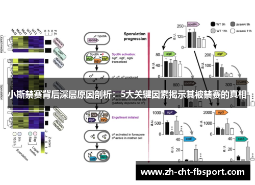小斯禁赛背后深层原因剖析：5大关键因素揭示其被禁赛的真相
