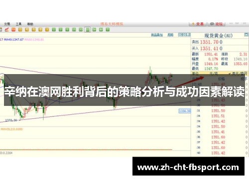 辛纳在澳网胜利背后的策略分析与成功因素解读