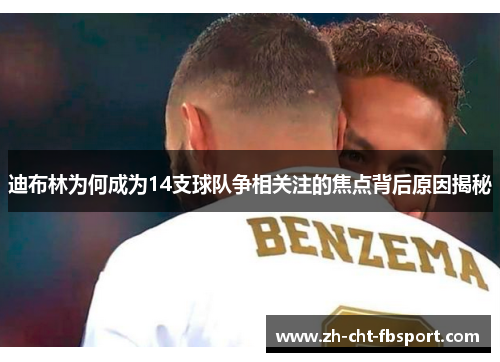 迪布林为何成为14支球队争相关注的焦点背后原因揭秘